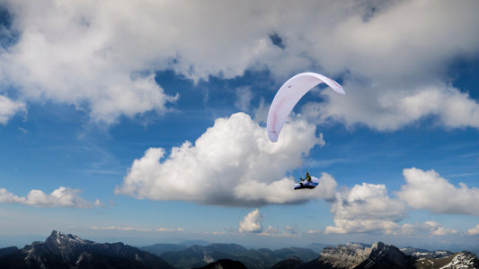 ZEOLITE GT - XC Wings
