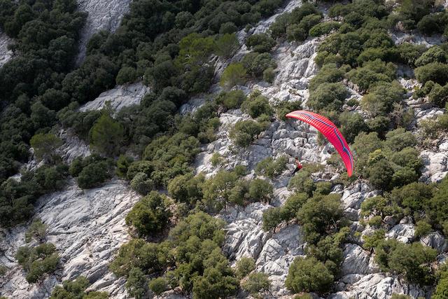 ALPINA 4 - XC Wings